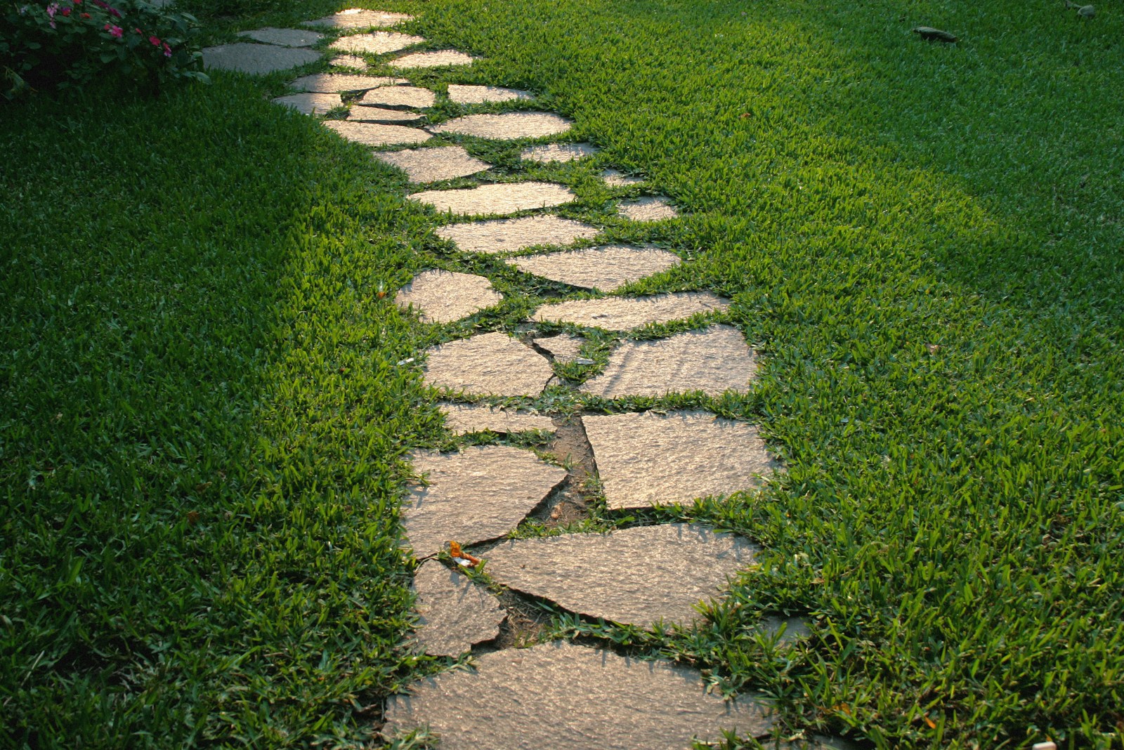 Before inspiration: a simple stone garden path
